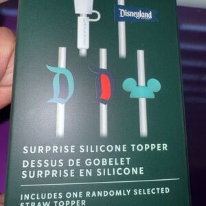 Disneyland Silicone Straw Toppers Mystery only sold at parks